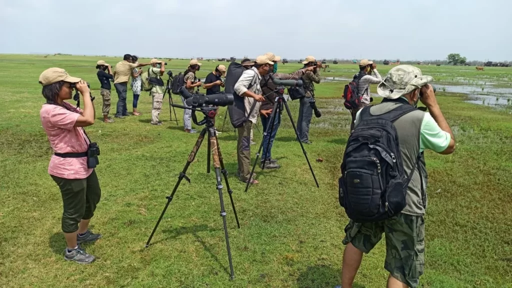 Birdwatchers Society