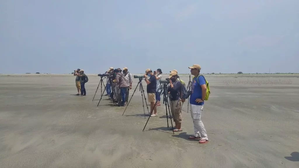 Birdwatchers Society