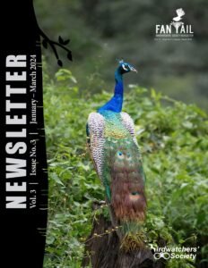 Fantail-Vol3_Issue3