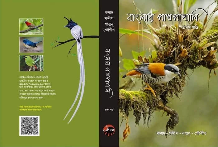 Tiger Shrike